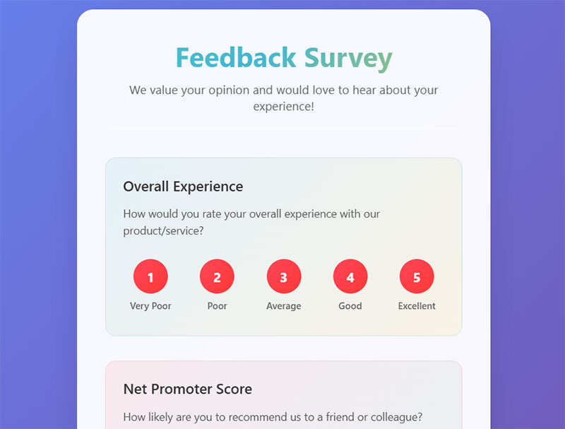 Overall Experience