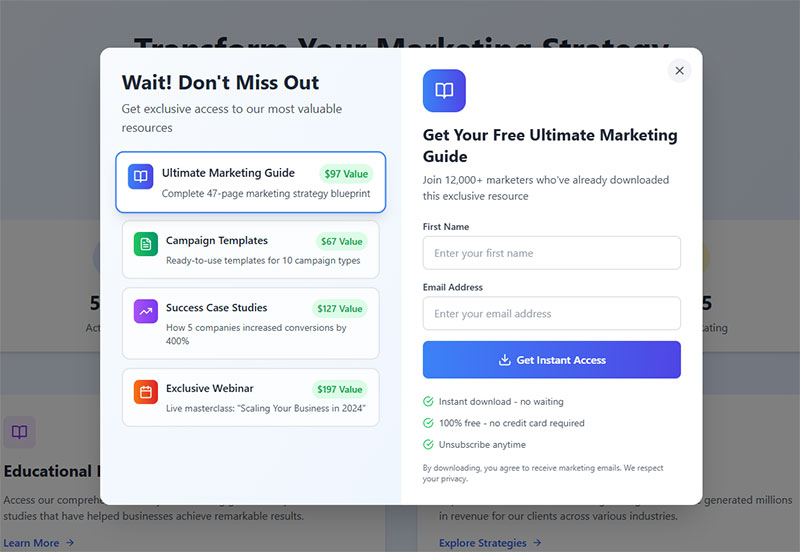 Newsletter and Email List Building