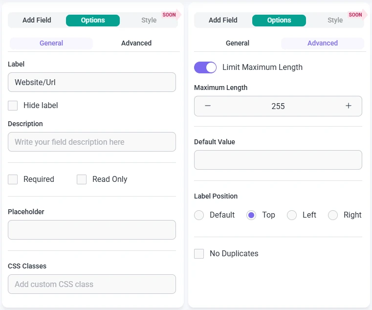 Website field options in IvyForms with placeholder and label example.